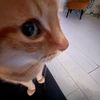 wafa.adelia38