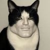 mobeltot