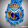 user2881803423632