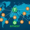 Bitnest