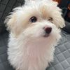 betty.stoian
