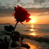 user1707361942562