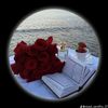 rafief.ahmed8
