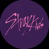 Stray Kids is the best❤️