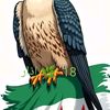 user3370665008311