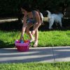 .alyssasworldoffun