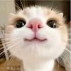 me.yuta3