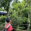 julian.quintao