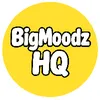 bigmoodzhq