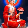 karsang.sherpa79
