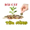 daicattimvangforex