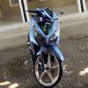 adulldisini