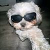 user4170268002284