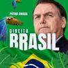 Direita Brasil 2.0