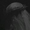 ayeshy001