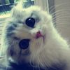 syzwan_________