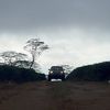 vikings_hilux