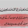 zoja.shahid4078
