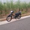 kphgank0155
