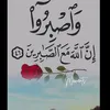user3631874081182