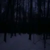 evgenasu9ks