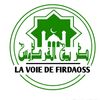 Hamad Kindo