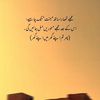 ahmedhunyar15