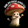 mr.fungi.co