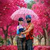 farooq.khokhar781