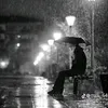 alaa.al.edamy