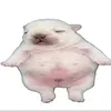 pibbles88