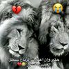 user4482947807434