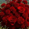 user5561266176155