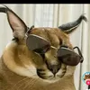 hacker_40700