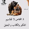 user5629585278801
