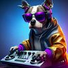 deejj_blymusic