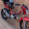 rosinetereis236