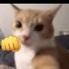 puppetlinda