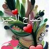 user7204368342095