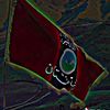 ameensha804