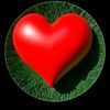 zinet.yesuf7