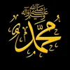 ali.zebarel
