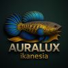 Auralux ikanesia