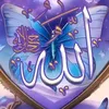 user8037288812417