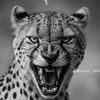tiger_0to100