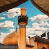 ⭐️HUSSAINI MUSLIM🚩