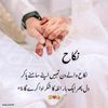 asdfghhj728