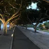 nono40936