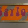 saylorhaze