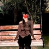 shk.shk4087